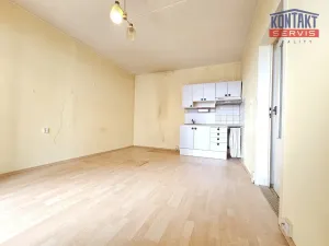 Prodej bytu 2+kk, České Budějovice, Netolická, 42 m2