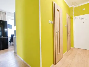 Pronájem bytu 2+1, Lovosice, Wolkerova, 48 m2