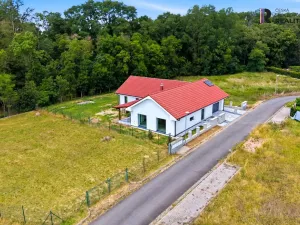 Prodej rodinného domu, Veltrusy, U Luhu, 200 m2