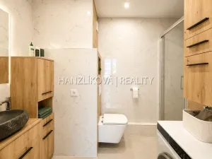 Prodej bytu 2+kk, České Budějovice - České Budějovice 2, Dlouhá, 45 m2