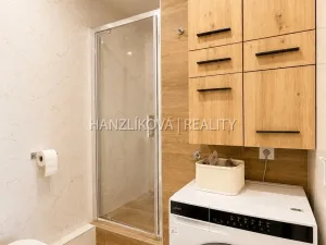 Prodej bytu 2+kk, České Budějovice - České Budějovice 2, Dlouhá, 45 m2