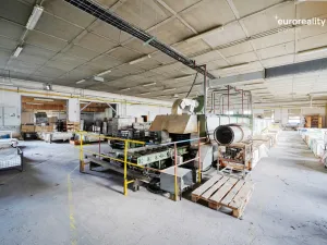 Prodej výrobních prostor, Plesná, Dlouhá, 2031 m2