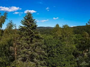 Prodej bytu 2+kk, Železná Ruda, 58 m2