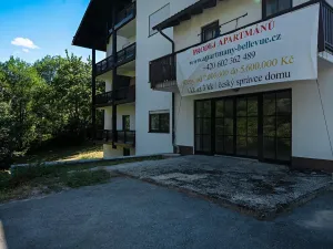 Prodej bytu 2+1, Železná Ruda, 55 m2