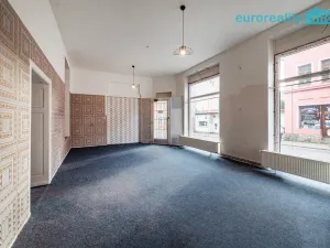 Prodej činžovního domu, Kraslice, Dukelská, 267 m2