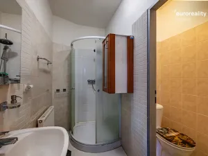 Prodej rodinného domu, Velká Hleďsebe, Havlíčkova, 229 m2