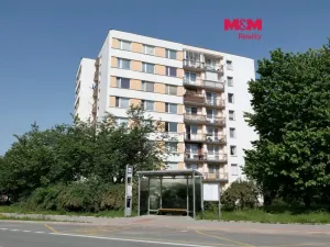Pronájem bytu 1+kk, Rychnov nad Kněžnou, Mírová, 40 m2