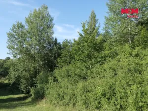Prodej lesa, Chyňava - Lhotka u Berouna, 7138 m2