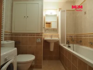 Pronájem bytu 1+kk, Bohumín - Nový Bohumín, Svat. Čecha, 25 m2