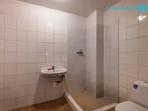 Prodej restaurace, Velká Hleďsebe, Havlíčkova, 229 m2