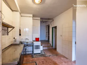 Prodej restaurace, Velká Hleďsebe, Havlíčkova, 229 m2