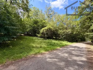 Prodej pozemku pro bydlení, Planá - Kříženec, 4165 m2