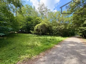 Prodej pozemku pro bydlení, Planá - Kříženec, 4165 m2