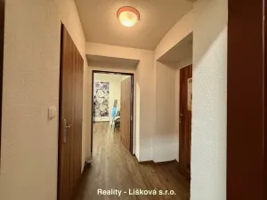 Pronájem komerční nemovitosti, Ústí nad Labem - Ústí nad Labem-centrum, Thomayerova, 50 m2