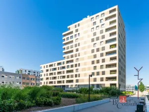 Prodej bytu 2+kk, Praha - Vysočany, Pechmanových, 54 m2