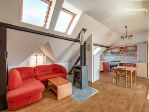 Prodej vícegeneračního domu, Sokolov, U Divadla, 360 m2