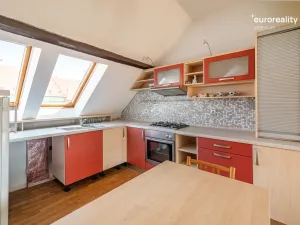 Prodej vícegeneračního domu, Sokolov, U Divadla, 360 m2