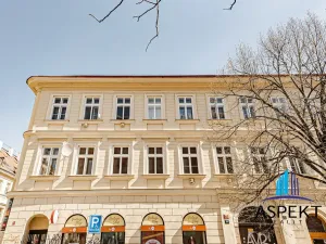 Pronájem bytu 2+1, Praha - Karlín, Vítkova, 65 m2