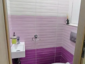 Pronájem bytu 2+1, Olomouc - Hodolany, tř. Kosmonautů, 57 m2