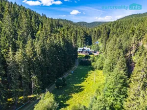 Prodej chalupy, Stříbrná, 460 m2
