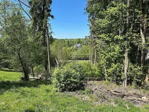 Prodej chalupy, Vysoké nad Jizerou, 86 m2