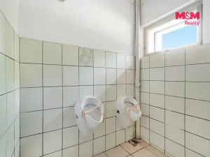 Prodej ubytování, Deštné v Orlických horách, 850 m2
