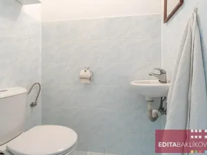 Pronájem bytu 1+kk, Olomouc, Handkeho, 43 m2