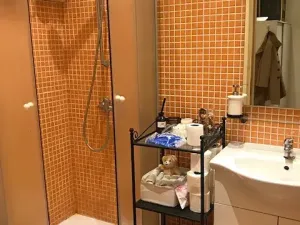 Pronájem bytu 3+kk, Praha - Vinohrady, Krkonošská, 73 m2