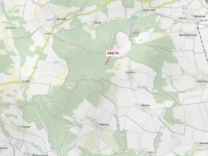 Dražba lesa, Loučka, 3720 m2