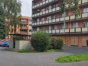 Pronájem bytu 1+1, Frýdlant nad Ostravicí, Palackého, 38 m2