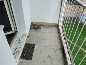 Pronájem bytu 1+kk, Jeseník, Horská, 25 m2