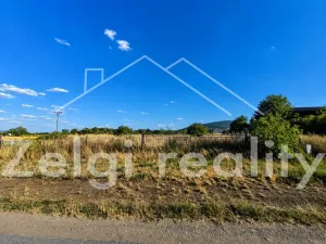 Prodej komerčního pozemku, Strachotín, Palavská, 2465 m2