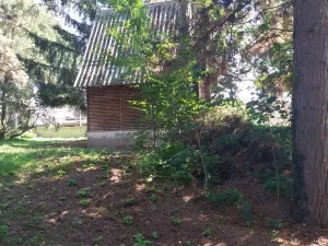 Pronájem chaty, Hradec Králové - Slezské Předměstí, Na Mlejnku, 10 m2