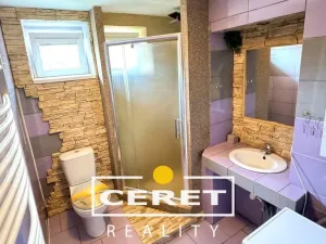 Pronájem bytu 3+kk, Žatec, K Perči, 63 m2