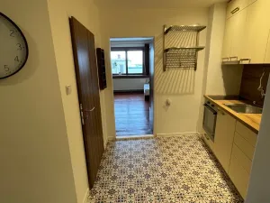 Pronájem bytu 1+1, Mělník, 49 m2