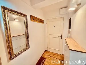 Pronájem bytu 1+kk, Praha - Vinohrady, Šrobárova, 50 m2