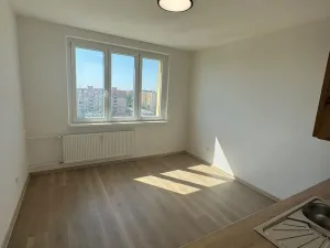 Pronájem bytu 1+1, Chomutov, Pod Břízami, 36 m2