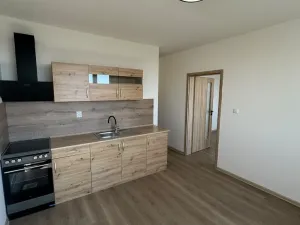 Pronájem bytu 1+1, Chomutov, Pod Břízami, 36 m2