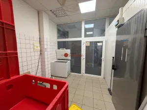 Pronájem skladu, Litvínov - Horní Litvínov, náměstí Míru, 21 m2