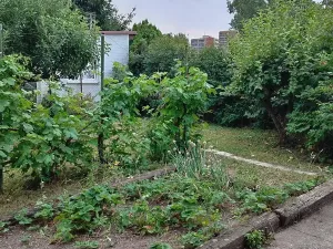Prodej chaty, Kladno, U Trati, 20 m2