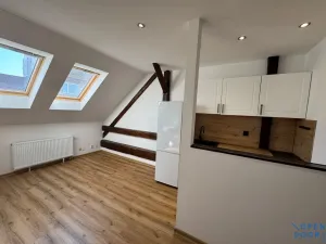 Pronájem bytu 1+1, Chomutov, Kukaňova, 50 m2