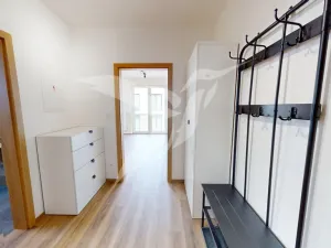 Pronájem bytu 1+kk, Dobřany, Denksteinova, 38 m2