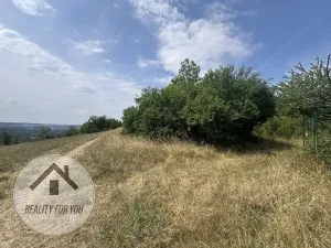 Pronájem zahrady, Praha, 2558 m2