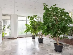 Prodej bytu 4+kk, Praha - Strašnice, Limuzská, 70 m2