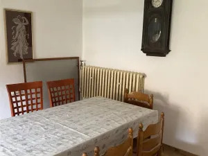 Pronájem rodinného domu, Heřmanov, 280 m2