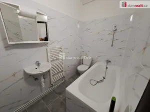 Pronájem bytu 1+1, Ústí nad Labem - Střekov, Mánesova, 25 m2