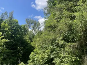 Prodej chalupy, Štíty, Na Pile, 141 m2