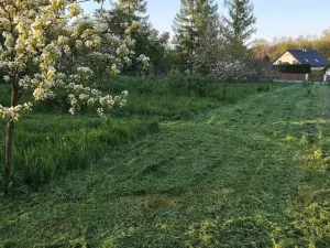 Prodej pozemku pro bydlení, Bartošovice, 4421 m2