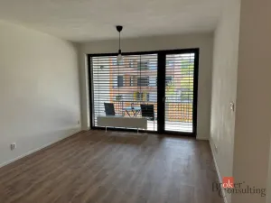 Pronájem bytu 2+kk, Plzeň - Východní Předměstí, Kartónová, 56 m2