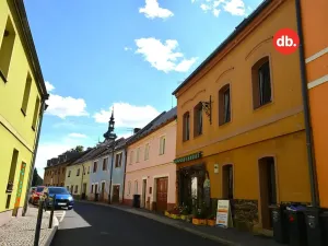 Pronájem bytu 1+1, Toužim, Farní, 40 m2